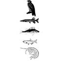 100 Pics Science Answers Level 74