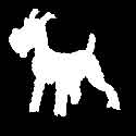 100 Pics Silhouettes Answers Level 77