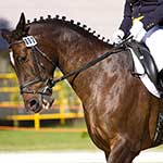 100 Pics Sports Answers Level 80
