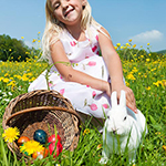 100 Pics Spring Answers Level 27