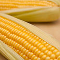 100 Pics Taste Test Answers Level 2