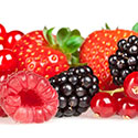 100 Pics Taste Test Answers Level 9