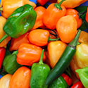 100 Pics Taste Test Answers Level 26