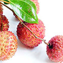 100 Pics Taste Test Answers Level 81