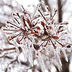 100 Pics Weather Answers Level 13