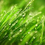 100 Pics Weather Answers Level 21
