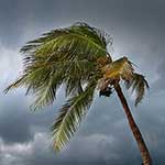 100 Pics Weather Answers Level 69