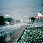 100 Pics Weather Answers Level 74