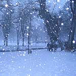 100 Pics Weather Answers Level 9
