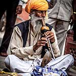 100 Pics What Job Answers Level 77