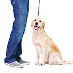100 Pics What Job Answers Level 83