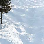 100 Pics Winter Sports Answers Level 62