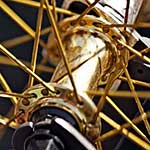 100 Pics X Games Answers Level 35