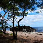 100 Pics Desert Island Answers Level 1