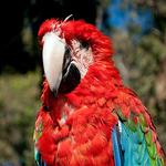 100 Pics Desert Island Answers Level 21