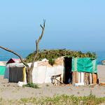 100 Pics Desert Island Answers Level 36