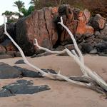 100 Pics Desert Island Answers Level 78