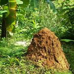 100 Pics Desert Island Answers Level 92