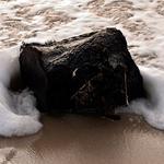 100 Pics Desert Island Answers Level 93