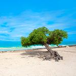 100 Pics Desert Island Answers Level 100