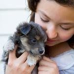 100 Pics Pets Answers Level 2
