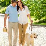 100 Pics Pets Answers Level 14