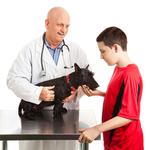 100 Pics Pets Answers Level 64
