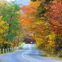 100 Pics Autumn Answers Level 64