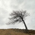100 Pics Autumn Answers Level 95