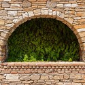100 Pics N Is For Answers Level 81