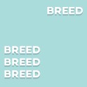 100 Pics Catchphrases 3 Answers Level 42