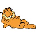 100 Pics Cats Answers Level 2