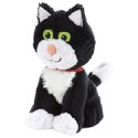 100 Pics Cats Answers Level 16