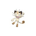 100 Pics Cats Answers Level 28