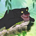 100 Pics Cats Answers Level 31