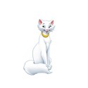 100 Pics Cats Answers Level 37