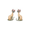 100 Pics Cats Answers Level 55