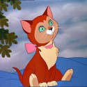 100 Pics Cats Answers Level 57