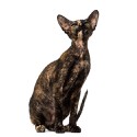 100 Pics Cats Answers Level 59