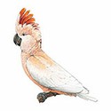 100 Pics Animal Kingdom 1 Answers Level 17