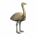 100 Pics Animal Kingdom 1 Answers Level 23