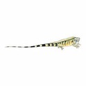 100 Pics Animal Kingdom 1 Answers Level 40