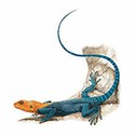 100 Pics Animal Kingdom 1 Answers Level 68