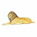 100 Pics Animal Kingdom 1 Answers Level 86