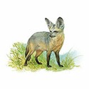 100 Pics Animal Kingdom 2 Answers Level 9