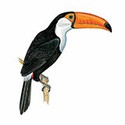 100 Pics Animal Kingdom 2 Answers Level 90