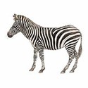 100 Pics Animal Kingdom 2 Answers Level 100