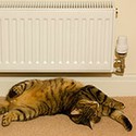 100 Pics Around The House Answers Level 76