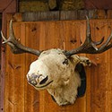 100 Pics Around The House Answers Level 91