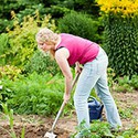 100 Pics Gardening Answers Level 23